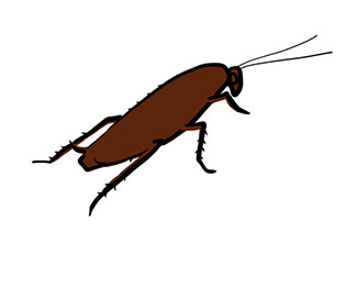 La Cucaracha (Paperback)